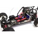 FG Marder Buggy Electric Brushless RTR