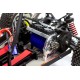 FG Marder Buggy Electric Brushless RTR