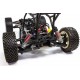 FG Marder Buggy Electric Brushless RTR