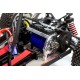 FG Marder Buggy Electric Brushless ARTR