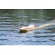 Aero-Naut RX-3 Outbord Hydroplane Racing Boat kit