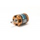Axi Motors Brushless 2820/12 Gold Line V2