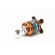 Axi Motors Brushless 2826/12 Gold Line V2