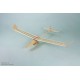 Aero-Naut Lilienthal 31 RC