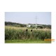 Multiplex BK FunCub NG Green