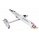 Multiplex RR EasyStar 3