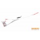 Multiplex BK Lentus Kit