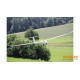 Multiplex BK Lentus Kit