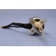 Topmodel Electric Outrunner Brushless Motor XPower XC3522/5 LS