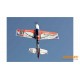 Multiplex RR AcroMaster PRO