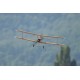 Aero-Naut Udet Flamingo