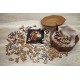 EWA Lion (S) Colorful Classic Wooden Puzzle
