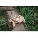 EWA Turtle Mechanical kit 3D Puzzle