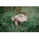 EWA Turtle Mechanical kit 3D Puzzle