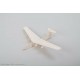 Aero-Naut Airliner P&F Glider