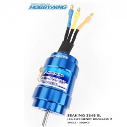 Hobbywing Seaking 3900KV-2848 2S-3S Motor Eletrico