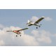 Aero-Naut Airplane Shorty Trainer Kit