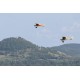 Aero-Naut Airplane Shorty Trainer Kit