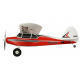 Multiplex RR Pacer