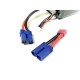 Absima Greenhorn Line V2 Bateria LiPo 11.1V 50C 6000 mAh (EC5/T-Plug)