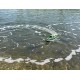 Volantex RC Barco a Motor Vector Lumen com Sistema Auto-reversível RTR Verde
