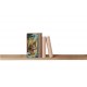 Revell Book Nook Tiny Adventures - Disney "The Jungle Book"
