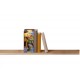Revell Book Nook Tiny Adventures - Disney "The Lion King"