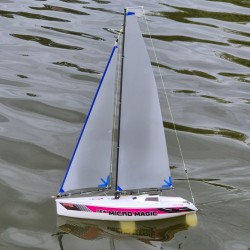 Hacker New Micro Magic RTR with Servos