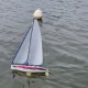Hacker New Micro Magic RTR with Servos