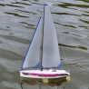 Hacker New Micro Magic RTR with Servos
