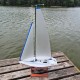 Hacker New Micro Magic RTR with Servos