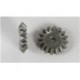 FG 06067 - Differential gearheel B 2p EVO 2020