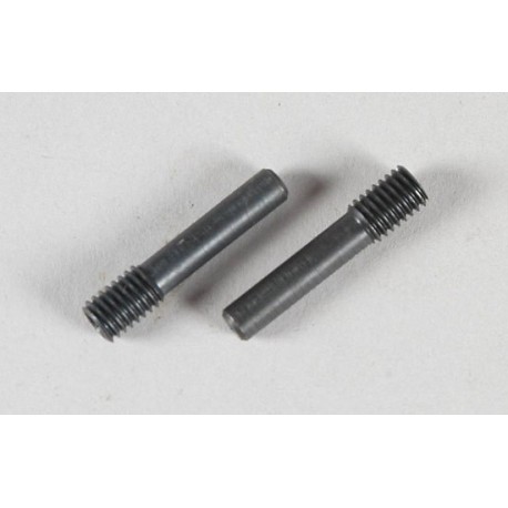 FG 08496-02 - Adjusting screw 2p